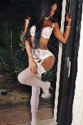 Foto Annunci Adhara Trans D�sseldorf 004915212409124 - 63