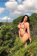 Foto Annunci Alessandre Xxii Trans Gallarate 3317852006 - 34