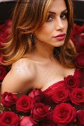 Foto Annunci Alessia Transex Trans Roma 3886981788 - 14