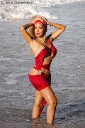 Foto Annunci Amber Trans Milano 3474004169 - 11