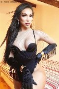 Foto Annunci Angel Bunny Transescort Milano 3474642611 - 31