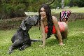 Foto Annunci Angelica Top Sexy Transescort Caserta 3312881548 - 72
