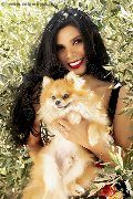 Foto Annunci Ariadna Transescort Bologna 3887519396 - 76