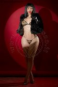 Foto Annunci Bella Dolce Transescort Lanciano 3444200868 - 26