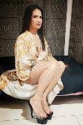 Foto Annunci Biancaladyboy Transescort Pordenone 3932233064 - 38