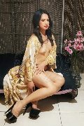 Foto Annunci Biancaladyboy Transescort Pordenone 3932233064 - 37