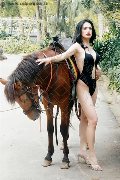 Foto Annunci Biancaladyboy Transescort Pordenone 3932233064 - 6