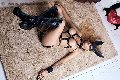 Foto Annunci Bruna Mor Trans Roma 3510998222 - 30