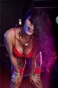 Foto Annunci Bruna Xxl Transescort Pavia 3295914684 - 45
