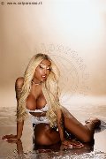 Foto Annunci Campbell Trans Padova 3933357541 - 95