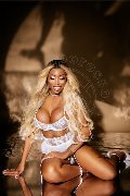 Foto Annunci Campbell Trans Padova 3933357541 - 100