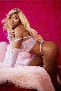 Foto Annunci Campbell Trans Padova 3933357541 - 80