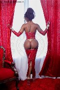 Foto Annunci Campbell Trans Padova 3933357541 - 35