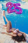 Foto Annunci Campbell Transescort Padova 3933357541 - 136
