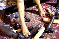 Foto Annunci Catadeya Mistresstrans Bologna 3387905590 - 55