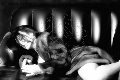Foto Annunci Crystal Transescort Genova 3494919500 - 53