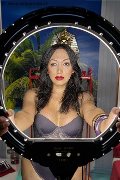 Foto Annunci Desirre Transescort Reggio Calabria 3922832689 - 6