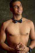Foto Annunci Elvis Boy Roma 3248430297 - 6
