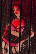 Foto Annunci Erotika Flavy Star Transescort Reggio Emilia 3387927954 - 153