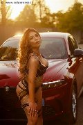 Foto Annunci Evelyn Escort Siena 3444491708 - 22
