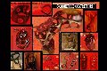 Foto Annunci Fantasia Mistress Padova 3485930348 - 65