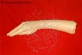 Foto Annunci Fantasia Mistress Padova 3485930348 - 159