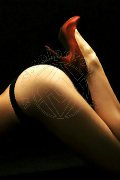 Foto Annunci Fenix Mistress Alessandria 3388830800 - 15
