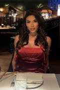 Foto Annunci Gabriela Lemos Transescort Verona 3932598874 - 1