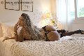 Foto Annunci Gabriella Giaretta Trans Milano 3314922831 - 7