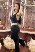 Foto Annunci Gabriella Hott Escort Bergamo 3930121014 - 13