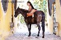 Foto Annunci Gabriella Xxl Brasile Transescort Milano 3292213799 - 70