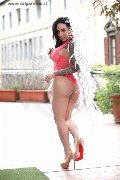 Foto Annunci Gaby Manzini Transescort 3931497296 - 273