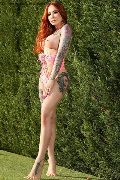 Foto Annunci Gaby Manzini Transescort Bari 3931497296 - 280