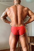 Foto Annunci Gilber Boy Lucca 3927848346 - 7