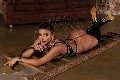Foto Annunci Hillana Maya Trans Parma 3515831873 - 7
