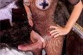 Foto Annunci Hot Ale Cavallona Trans Legnano 3508935739 - 12