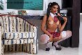 Foto Annunci Hot Bruna Alves Transescort Torino 3508426918 - 26