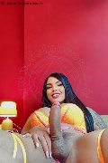Foto Annunci Hot Luana Castrinni Trans Milano 3931001131 - 11
