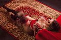 Foto Annunci Isabella Santos Transescort Siracusa 3381521054 - 18