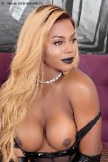 Foto Annunci Ivy Muller Transescort Bergamo 3279251190 - 25