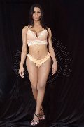 Foto Annunci Kelly Hot Piccolina Transescort Arezzo 3208308963 - 48