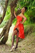 Foto Annunci Keylla Marques Pornostar Xxl Transescort Fortaleza 3337112655 - 71