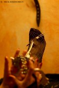 Foto Annunci Lady De Sade Italy Mistress Marina Di Carrara 3392160761 - 6