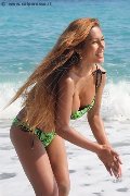 Foto Annunci Liisa Asiatica Ladyboy Transescort 3489026722 - 311