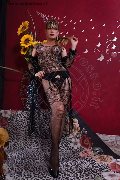 Foto Annunci Lisa Valle Transescort Savona 3341087500 - 12