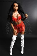 Foto Annunci Loren Trans Pesaro 3890085359 - 16