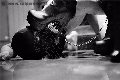 Foto Annunci Madame Jacqueline Domina Mistress Vicenza 3884822293 - 23