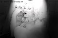 Foto Annunci Mary Ts Trans Francoforte 00491751281117 - 7