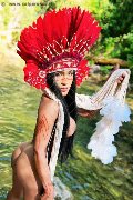 Foto Annunci Miss Pocahontas Transescort Siena 3398059304 - 67
