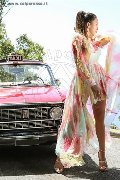 Foto Annunci Nauana Lima Pornostar Transescort Milano 3936529793 - 182